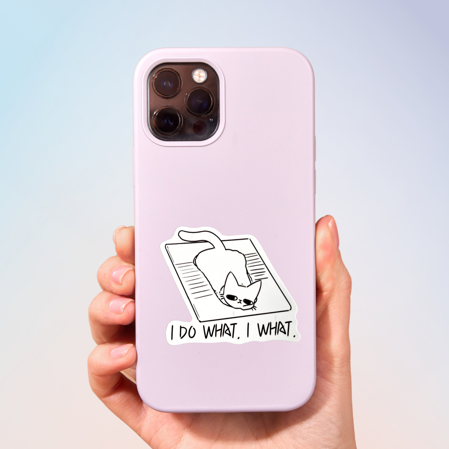 I Do What I Want Sticker