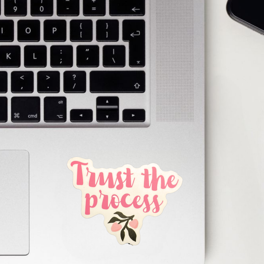Trust The Process Sticker