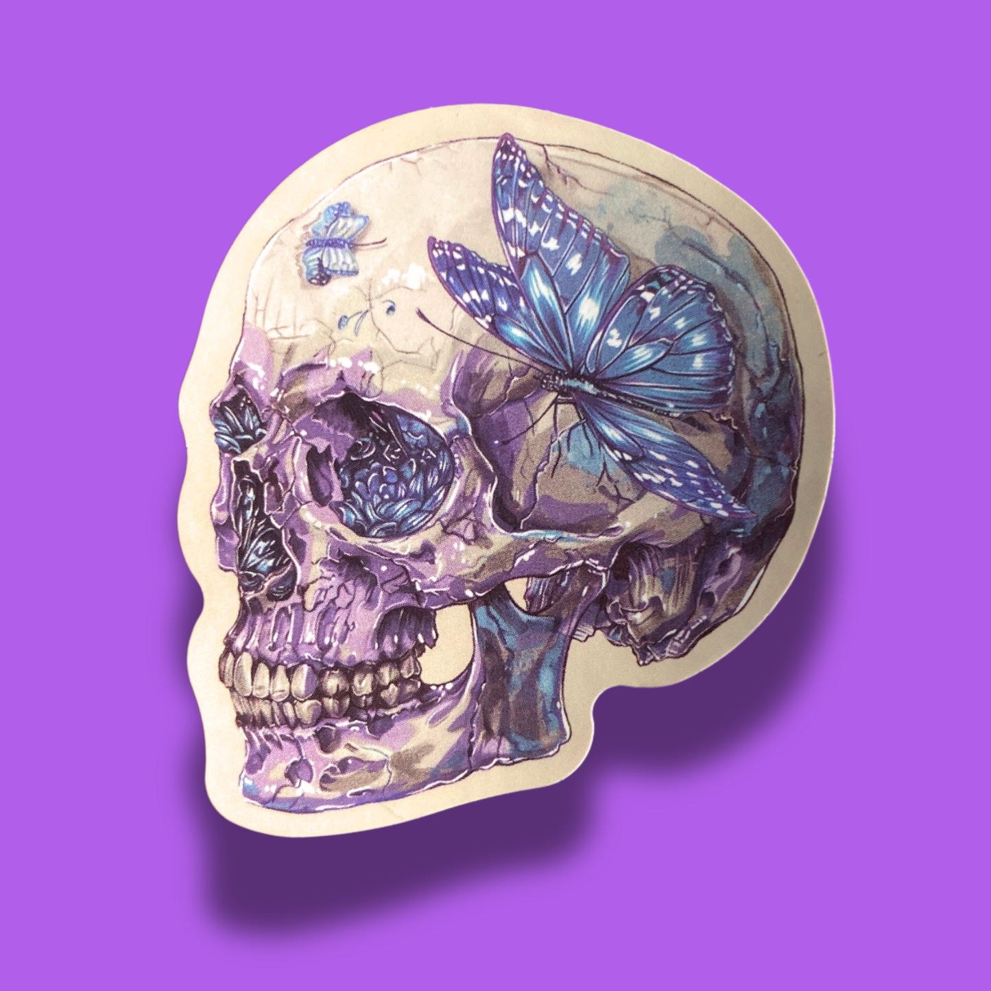 Soul's Wing Sticker