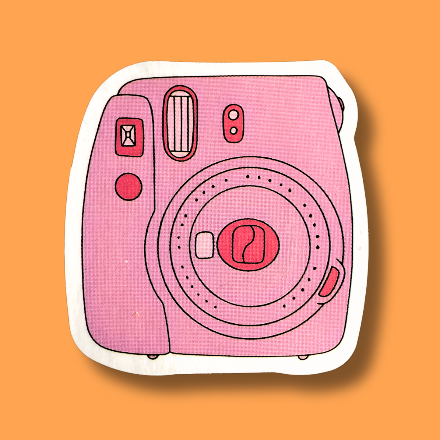 Picture Perfect Sticker
