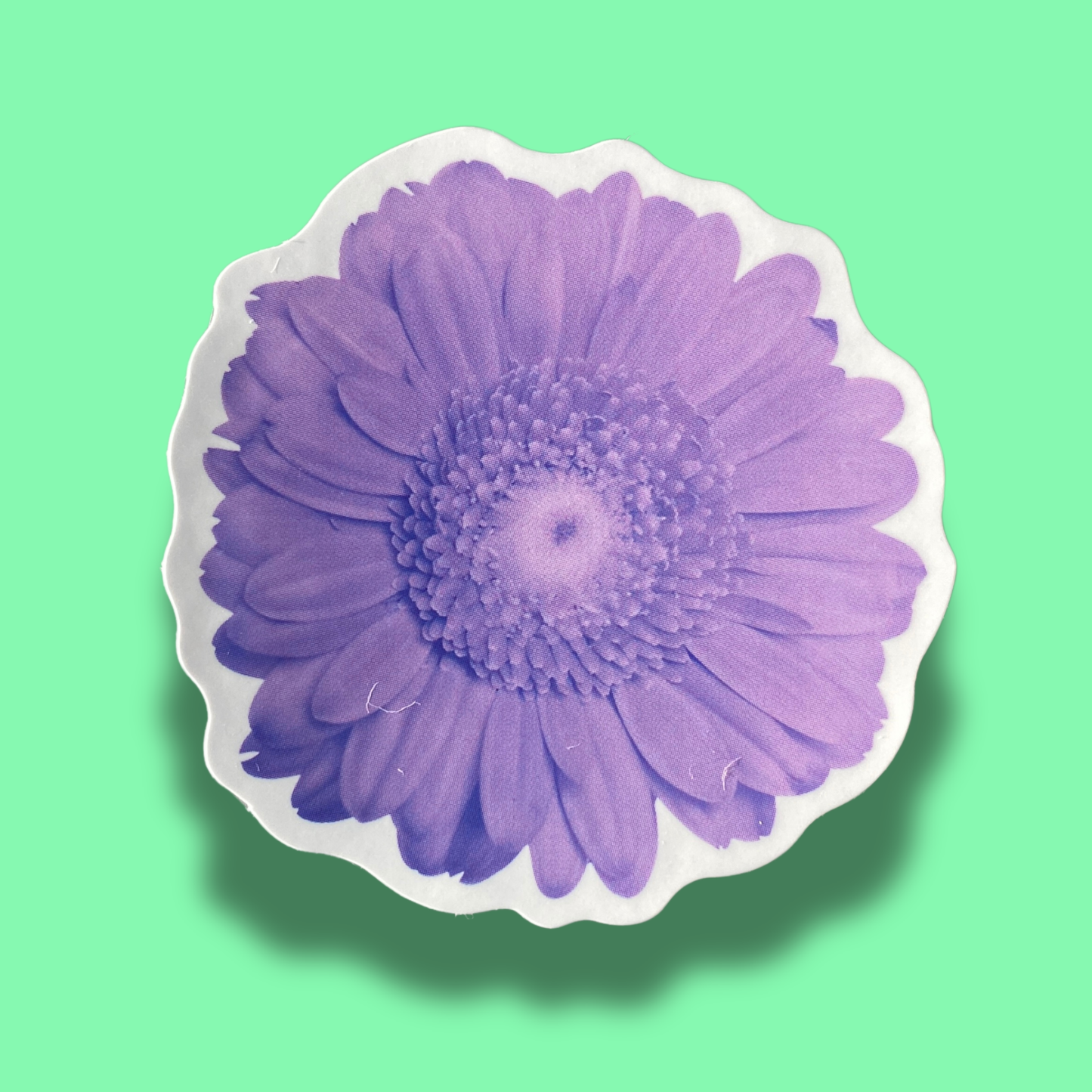 Lavender Dreams Sticker