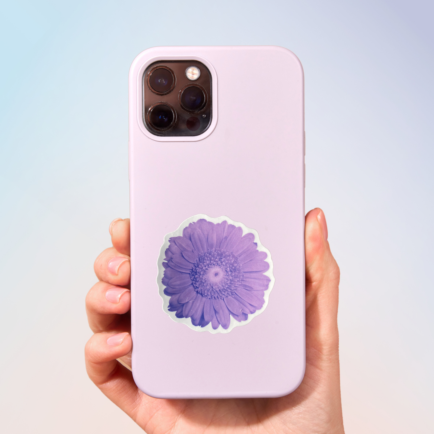 Lavender Dreams Sticker